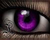 Deep Eyes | Purple unisx