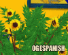 Boho Vibes- Sunflower