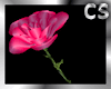 ^CS^ Pink Silk Rose