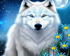 WHITE WOLF NAILS