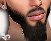 ® Beard long