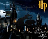 *HP*Leaky Cauldron Sign2