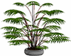 Grey Potted Bamboo