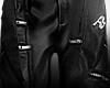 ✦ Punk