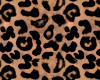 *j* leopard top