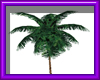 (sm)aminated palm tree *
