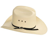 DJsStrawCowboyHat