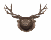 R~ Mounted Deer Head