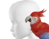 C| Parrot On Shoulder F