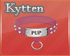-K- Pup Cranberry Collar