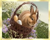 Easter Basket Rabbit 3D