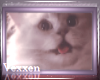 + Pastel Cat II +