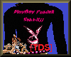 [TDS]PlayBoy Fam sunniij