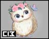 3| Female OWL Cute  ♥