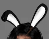 Bunny Ears