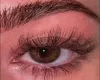 lashes