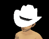 White stetson