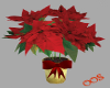 Christmas Poinsettia V3