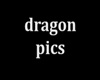 30 pics of dragons