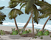 Palm Trees w Rocks