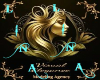 VSIUAL AGENCY LOGO