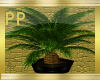 [PP]Reggae Passion Plant