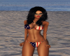 Sexy USA Bikini