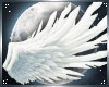 Cupid Angel wings