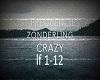 Lost Frequencies-Crazy