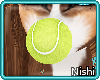 [Nish] Collie TennisBall