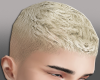 fade blonde