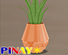 Pineapple Planter - O