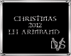 Christmas 2012 LH Armban