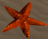Starfish 3D