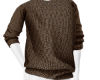 Brown Casual Sweater