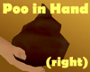 Poo in Hand (M) (Rt)