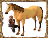 BSU NoPose Golden Horse