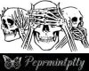 [PEP]3 Skulls  hair rag