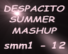 DESPACITO SummerMashup