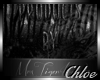 Lady's Shop Banner