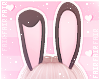 F. Bunny Ears Moka