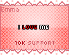 10k Support