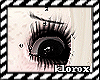 🖤 dolly lashes