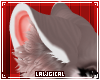 *L* Kuga Ears 5