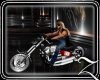 ~Z~ Harley Davidson Chop
