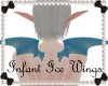 RS~Infant Ice Wings