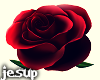 ! Red Roses /trg-roses