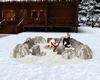 winter campfire animated