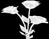 White PVC Roses