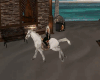 Animated Horse